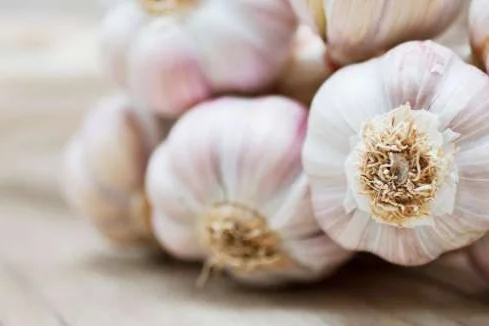 Ein Bündel Knoblauch auf einem Tisch.